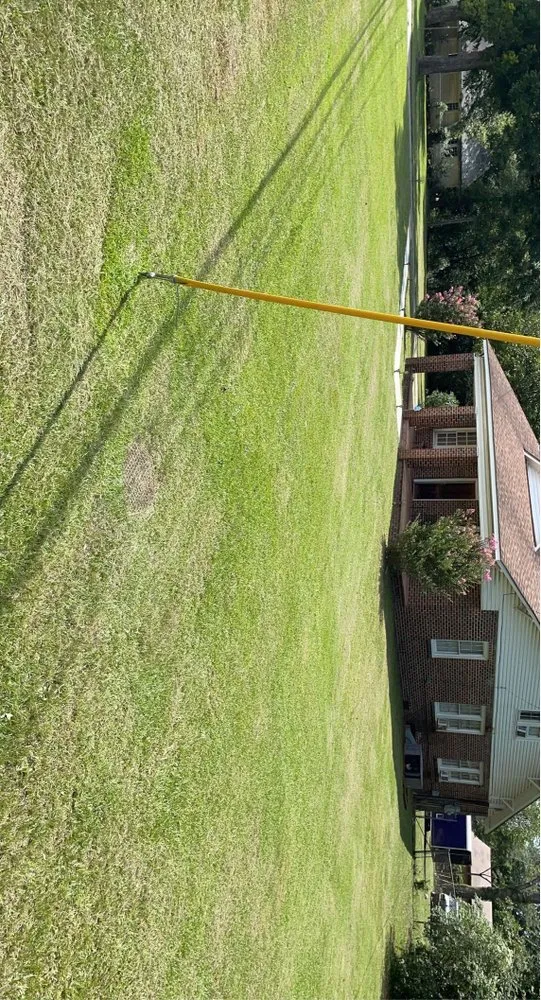 Professional lawn mowing service for beautiful yards across Macon, GA - BluJay Lawn Care & Hauling