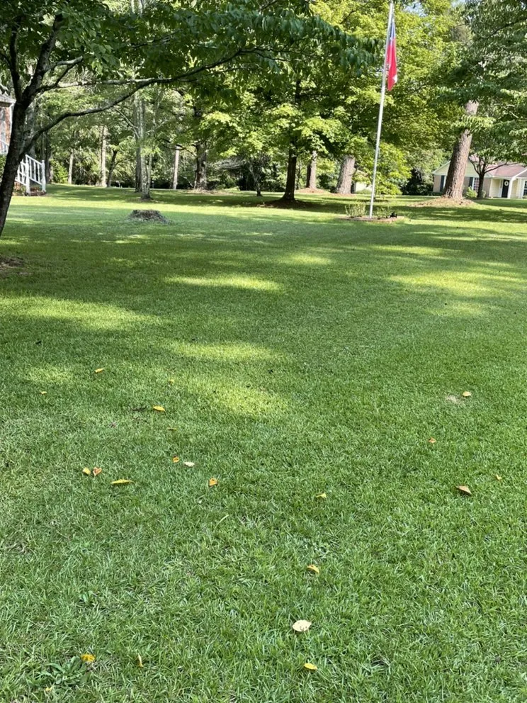 Custom outdoor landscaping for homes across Macon, GA - BluJay Lawn Care & Hauling