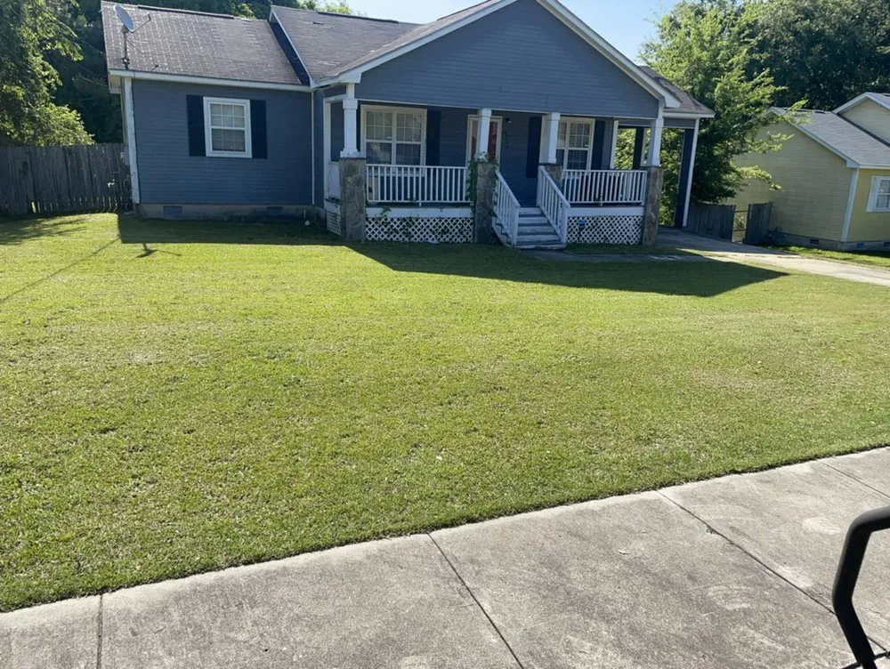 Local yard maintenance for year-round maintenance in Macon, GA by BluJay Lawn Care & Hauling