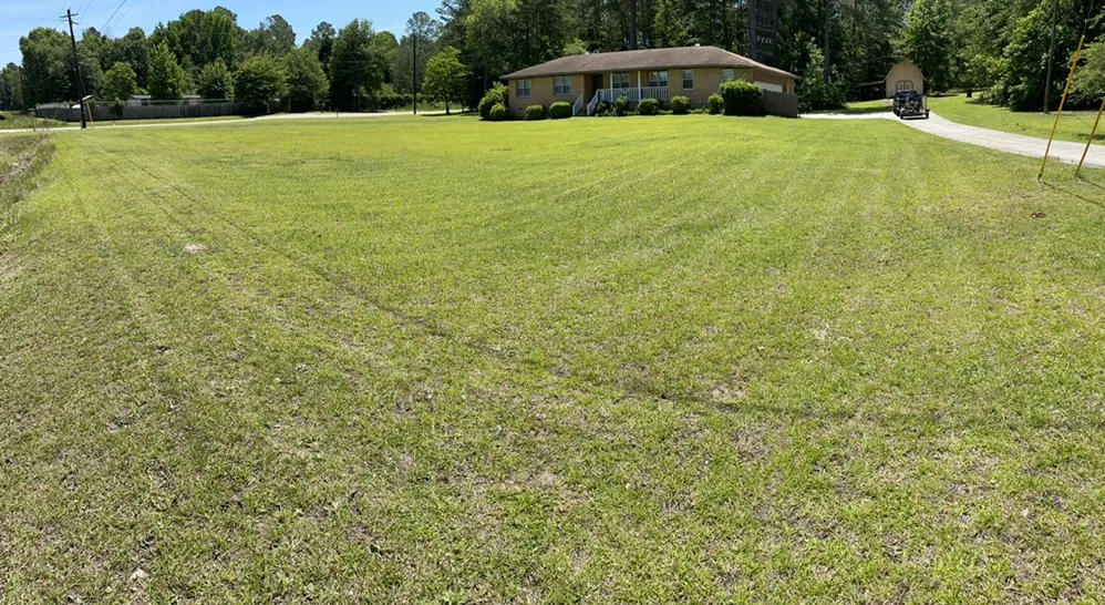 Top-rated landscaping services experts serving Macon, GA - BluJay Lawn Care & Hauling