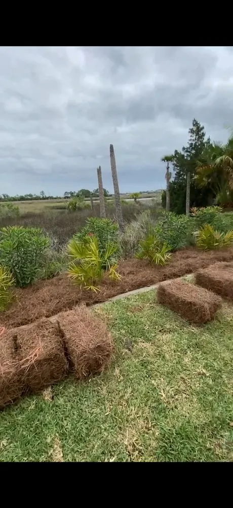 Trusted lawn mowing service experts serving Jacksonville, FL - Blujays Lawn Maintenance