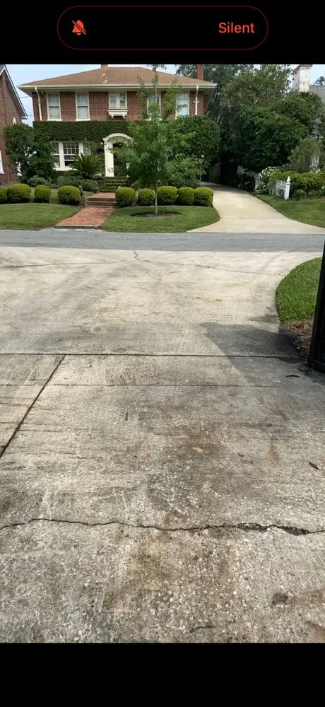 Professional yard maintenance with custom design across Jacksonville, FL - Blujays Lawn Maintenance