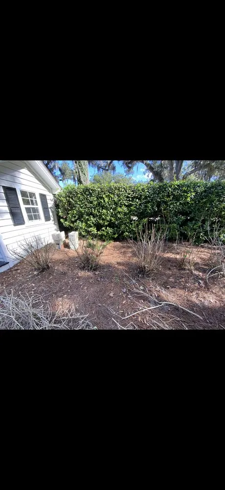 Reliable yard cleanup service in Jacksonville, FL by Blujays Lawn Maintenance