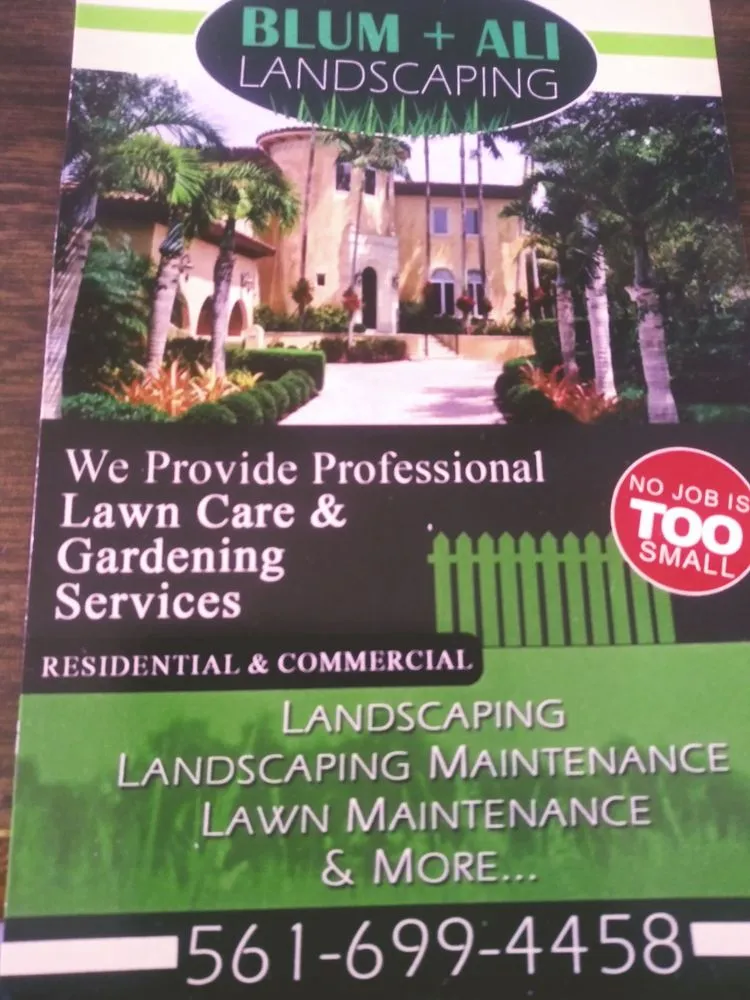 Expert landscape installation with custom design across North bay village, FL - Blum & Ali Landscaping