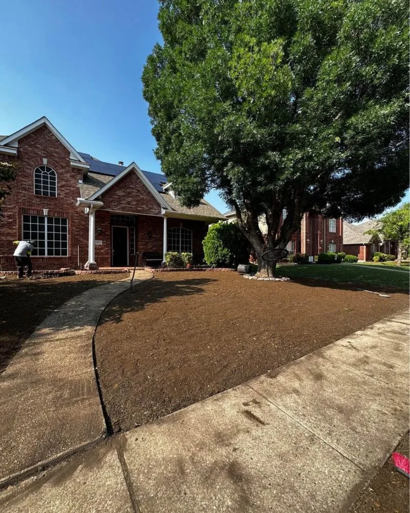 Reliable outdoor landscaping experts serving Addison, TX - Blum Landscape