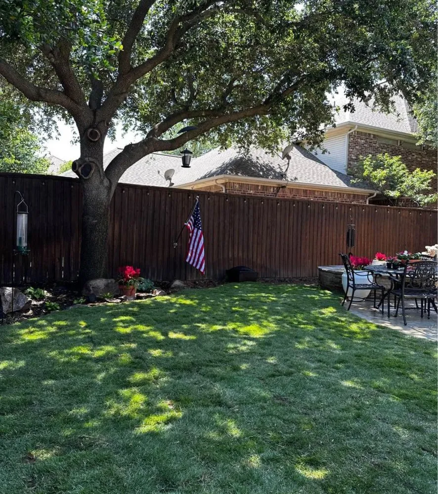 Reliable yard cleanup service in Addison, TX - Blum Landscape
