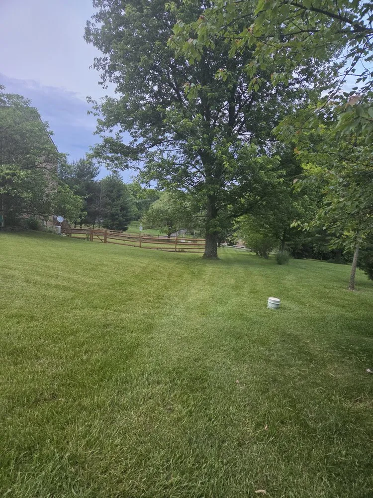 Local yard cleanup service for outdoor upgrades across Cincinnati, OH - Blum Lawn Care Service