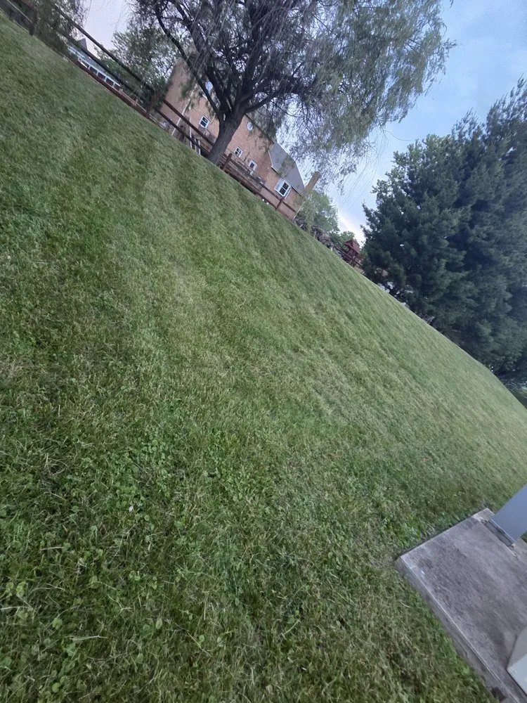 Affordable yard cleanup service for residential properties across Cincinnati, OH - Blum Lawn Care Service