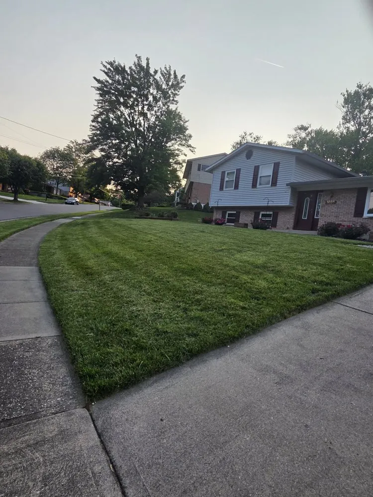 Trusted lawn care service in Cincinnati, OH by Blum Lawn Care Service