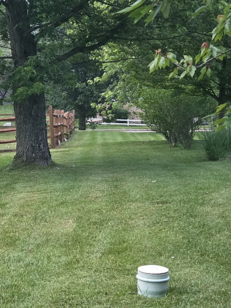 Expert lawn care service in Cincinnati, OH - Blum Lawn Care Service