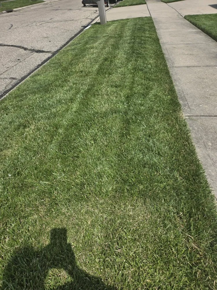 Local yard cleanup service for homes in Cincinnati, OH by Blum Lawn Care Service