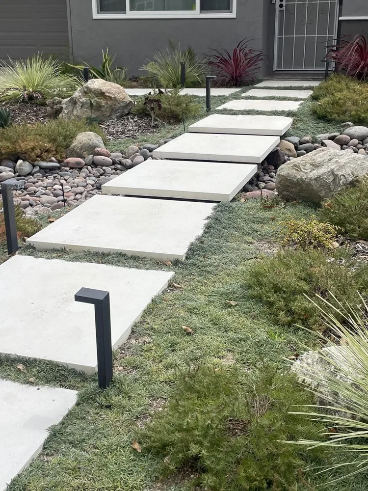 Expert landscape installation in La Mesa, CA - Blume Design Studio