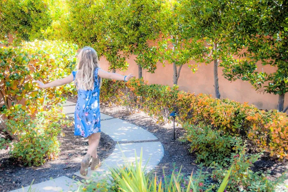 Expert outdoor landscaping for beautiful yards in La Mesa, CA by Blume Design Studio