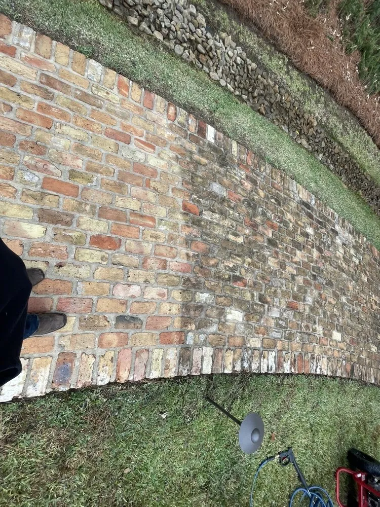 Reliable yard cleanup service experts serving Jackson, MS - Blunschi Pressure Washing and More