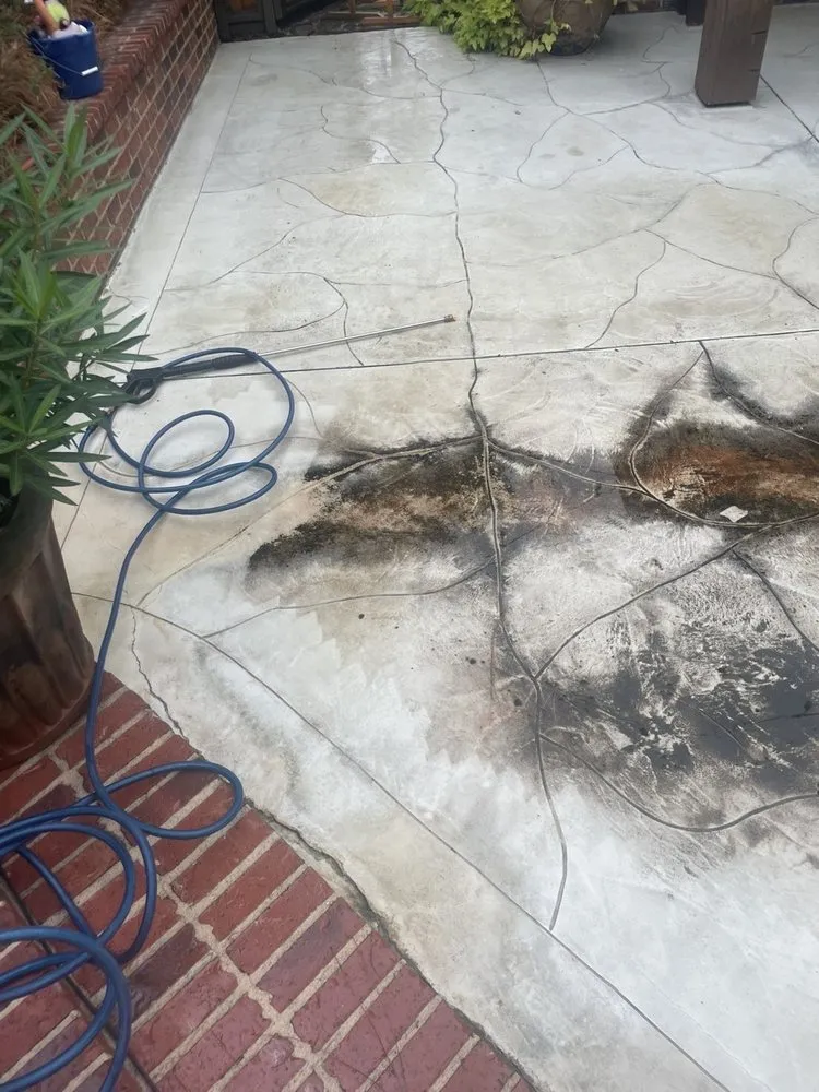 Expert landscape design experts serving Jackson, MS - Blunschi Pressure Washing and More