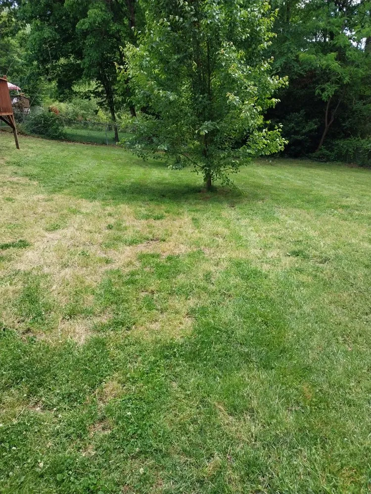 Professional outdoor landscaping in Burlington, NC by Blunts Lawn Service