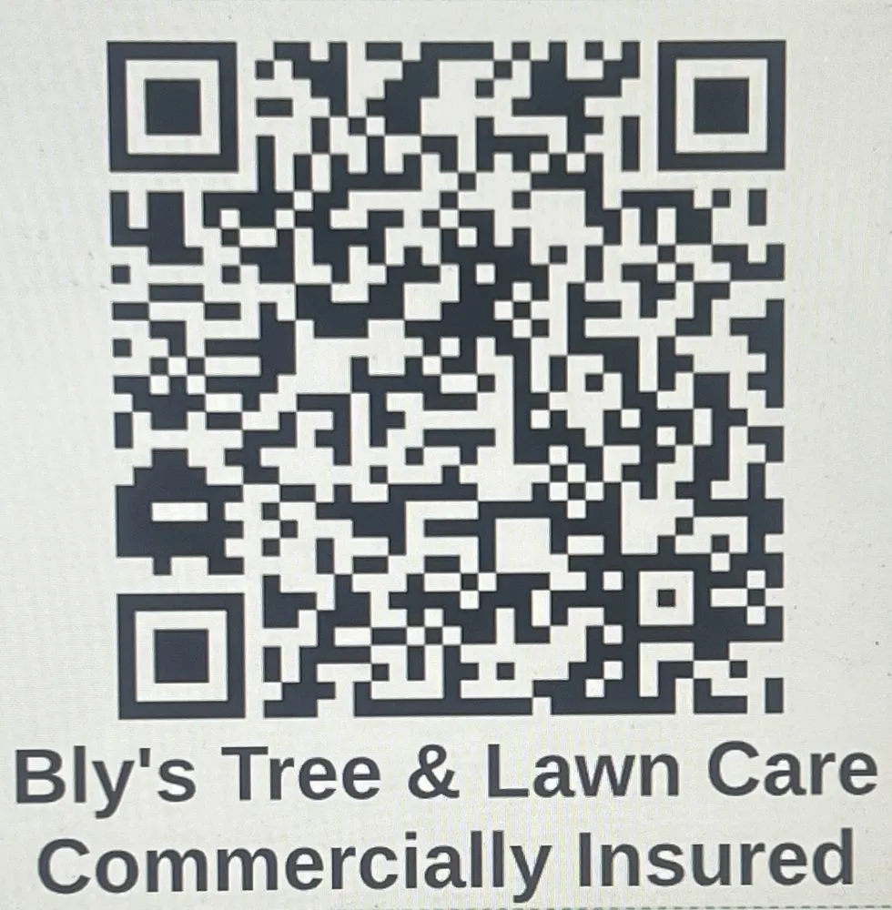 Top-rated landscape installation in Mooresville, NC by Bly's Tree & Lawn Care