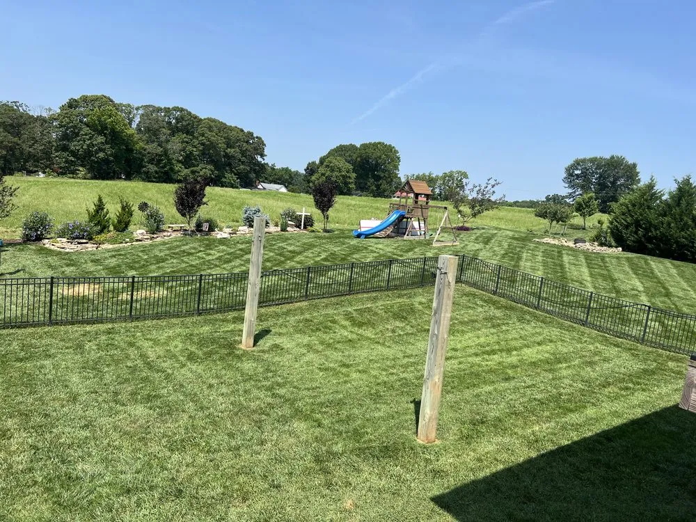 Professional landscaping services in Mooresville, NC by Bly's Tree & Lawn Care