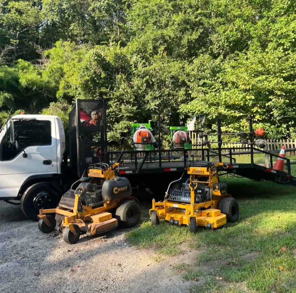 Trusted yard cleanup service in Mooresville, NC by Bly's Tree & Lawn Care