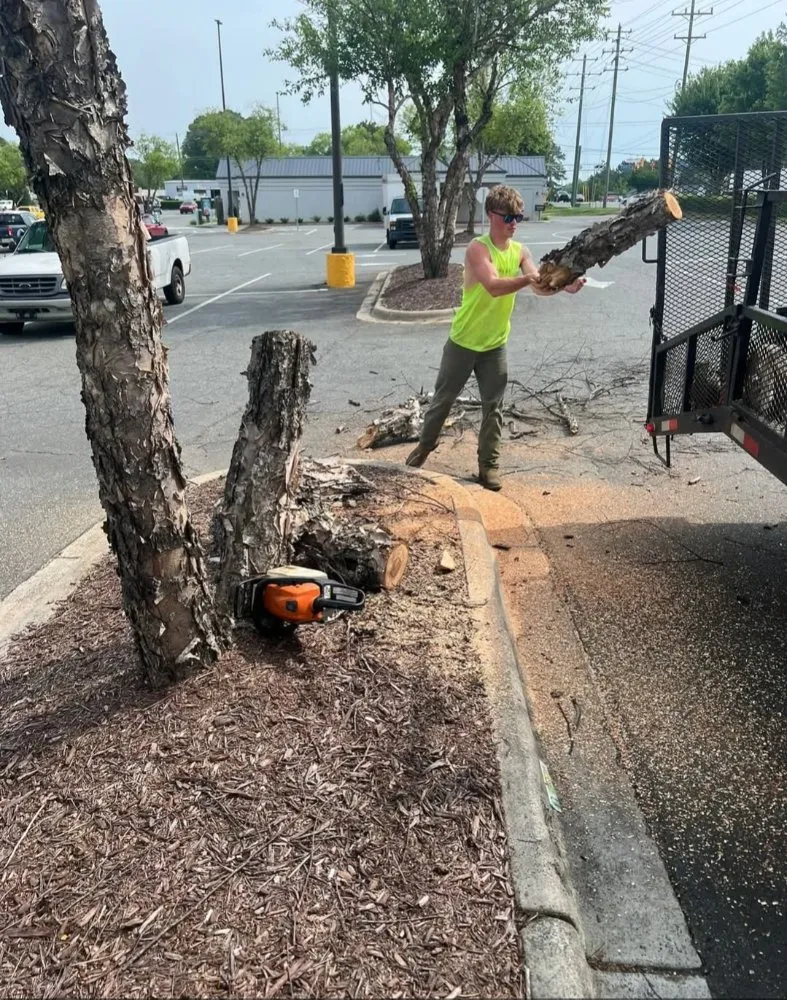 Expert landscaping services experts serving Mooresville, NC - Bly's Tree & Lawn Care