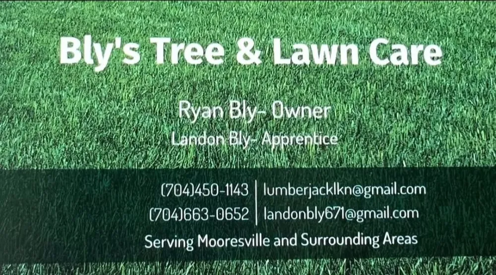 Local outdoor landscaping experts serving Mooresville, NC - Bly's Tree & Lawn Care