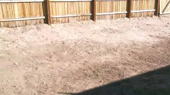 Professional landscape installation for year-round maintenance across Fallon, NV - B&M Contracting