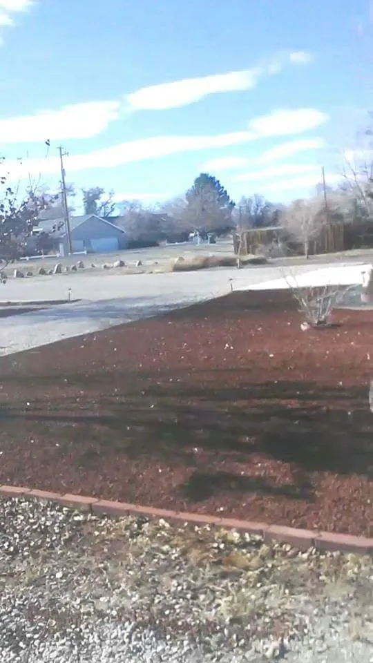 Top-rated lawn mowing service in Fallon, NV by B&M Contracting