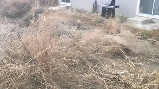 Reliable yard maintenance experts serving Fallon, NV - B&M Contracting