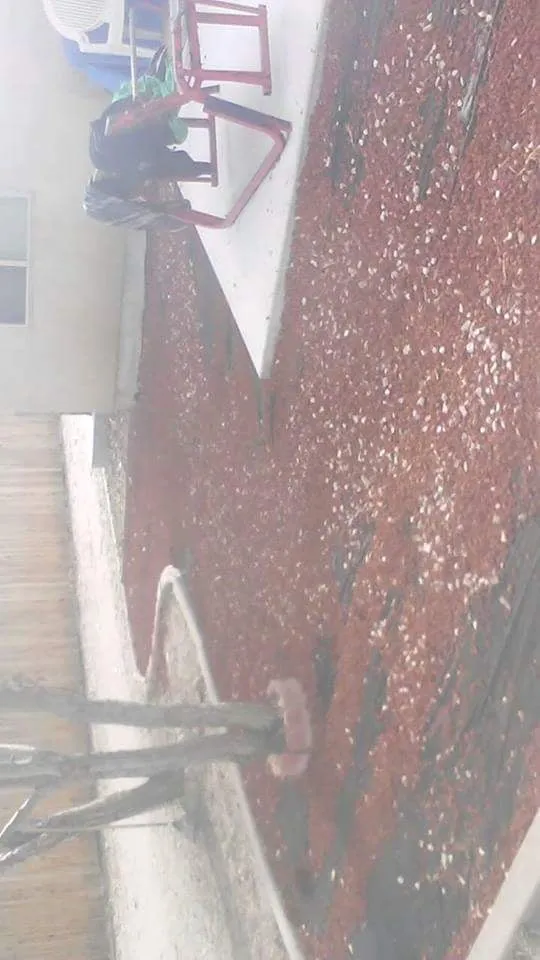 Affordable lawn care service near you across Fallon, NV - B&M Contracting