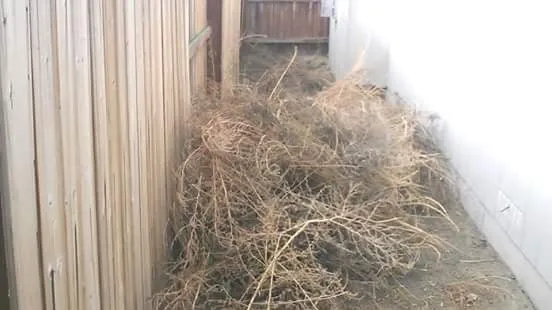 Reliable yard maintenance experts serving Fallon, NV - B&M Contracting