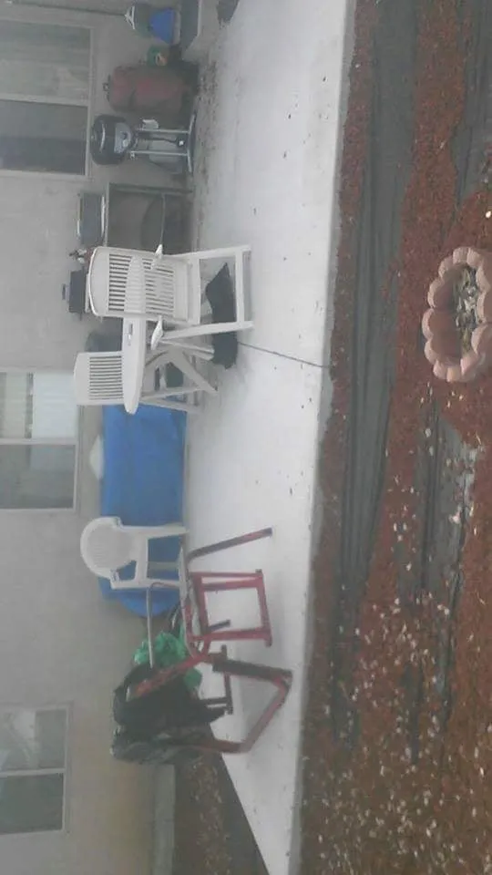 Top-rated yard maintenance near you in Fallon, NV by B&M Contracting