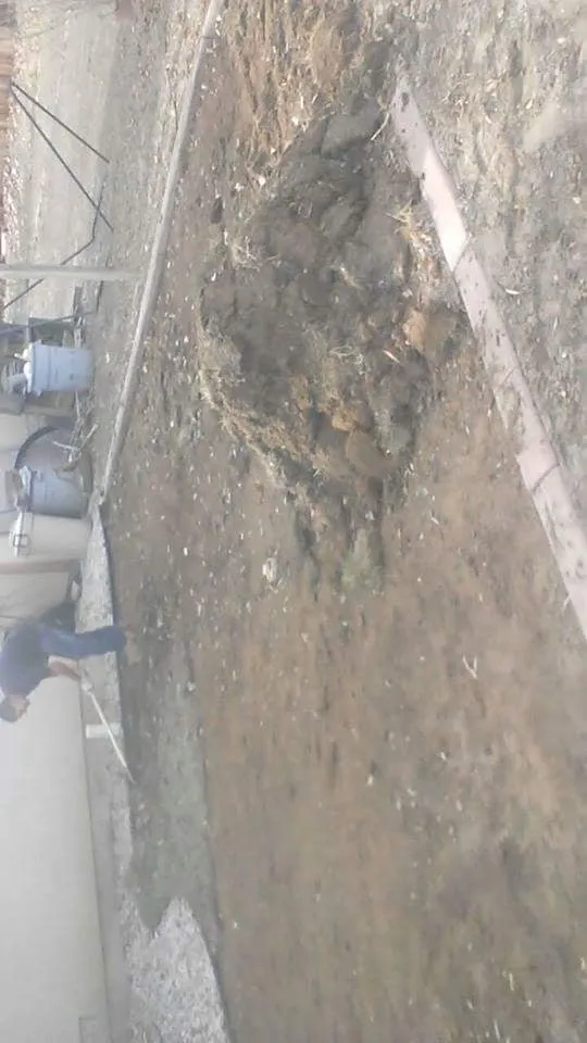 Professional yard maintenance in Fallon, NV - B&M Contracting