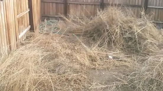 Expert lawn mowing service experts serving Fallon, NV - B&M Contracting