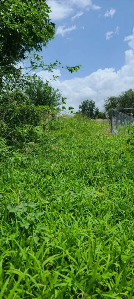 Reliable garden landscaping for homes across Lacombe, LA - B&M Home Services