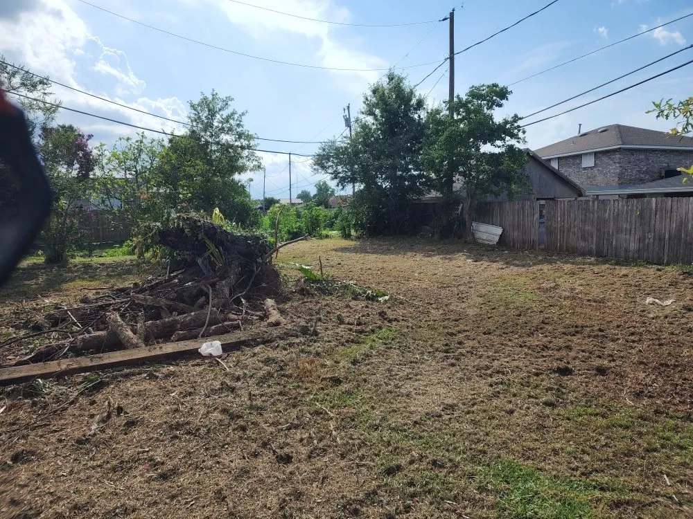 Expert yard cleanup service in Lacombe, LA by B&M Home Services