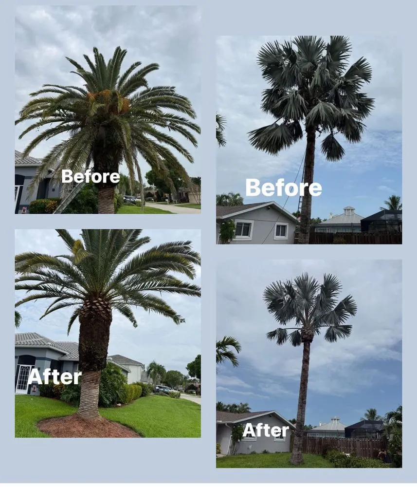Professional outdoor landscaping in Bonita springs, FL - B&M Landscaping & Lawn Care