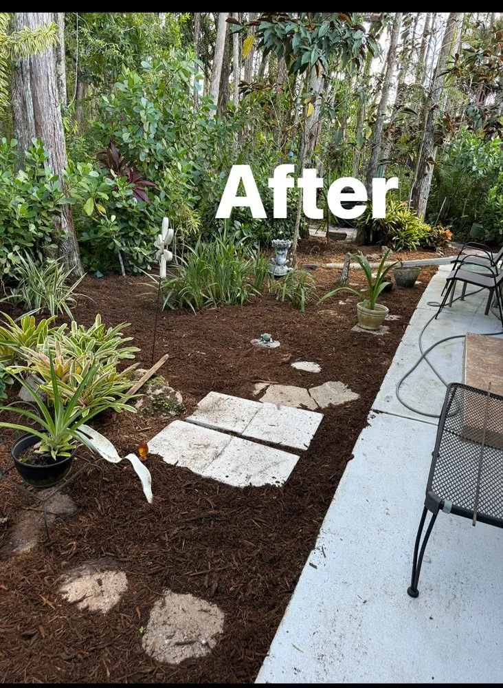 Top-rated lawn care service in Bonita springs, FL by B&M Landscaping & Lawn Care