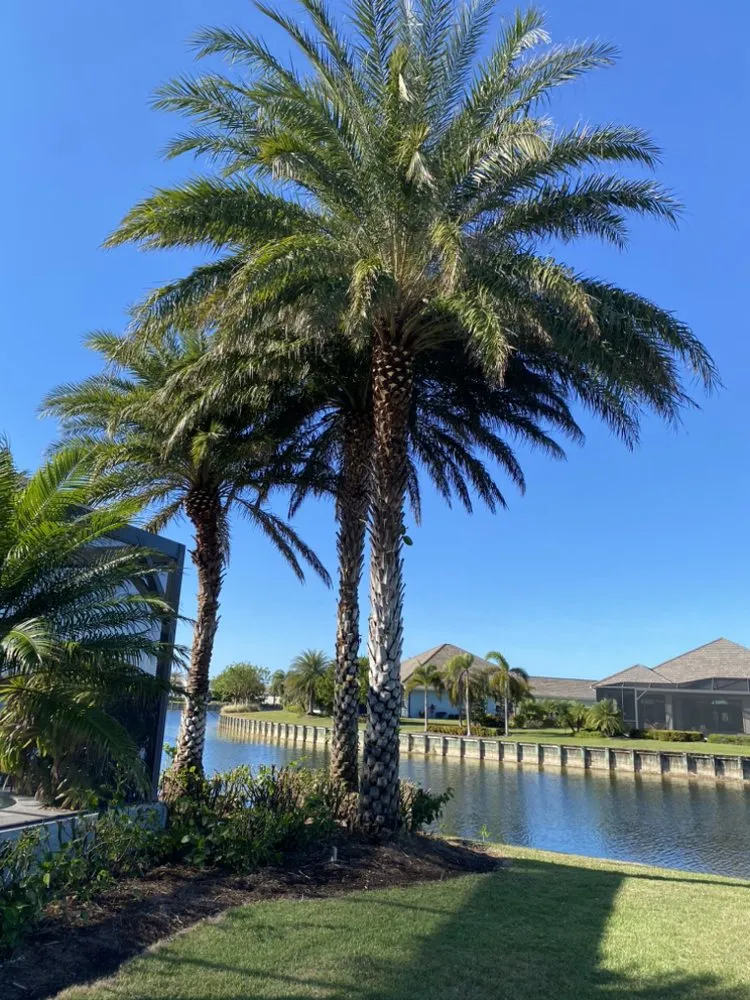 Top-rated lawn mowing service in Bonita springs, FL - B&M Landscaping & Lawn Care