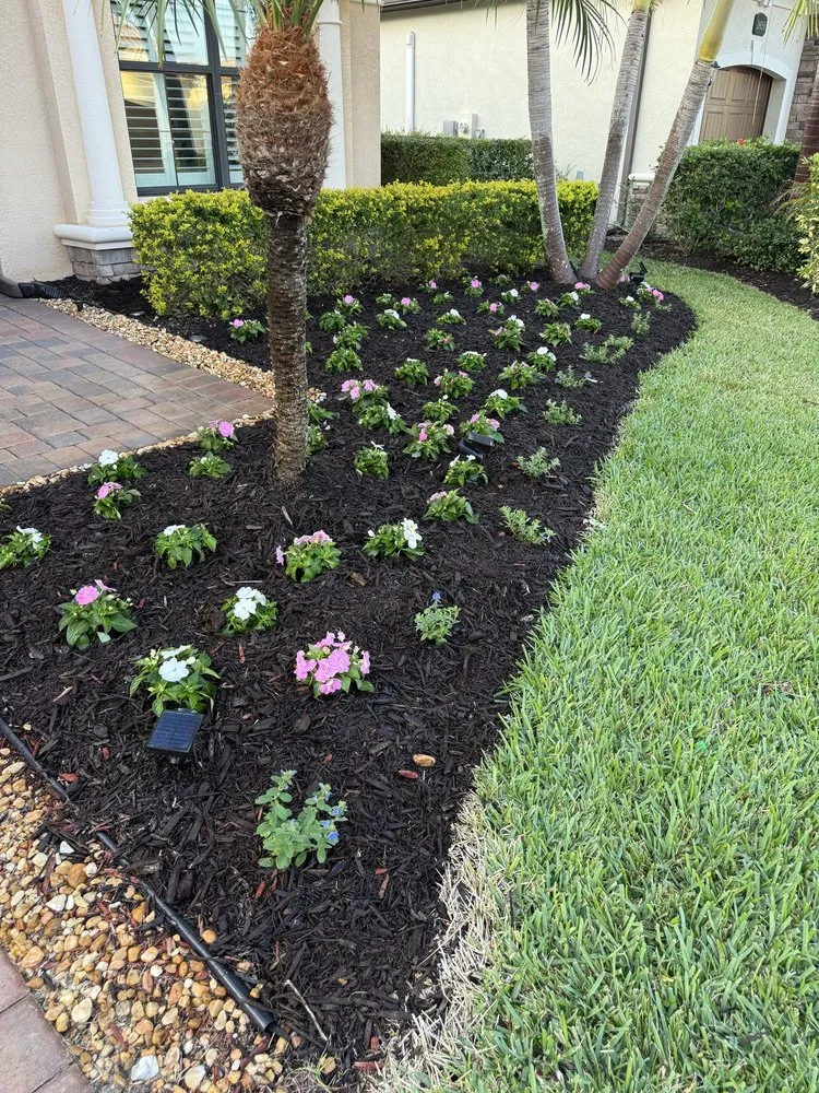 Top-rated residential landscaping with custom design across Bonita springs, FL - B&M Landscaping & Lawn Care