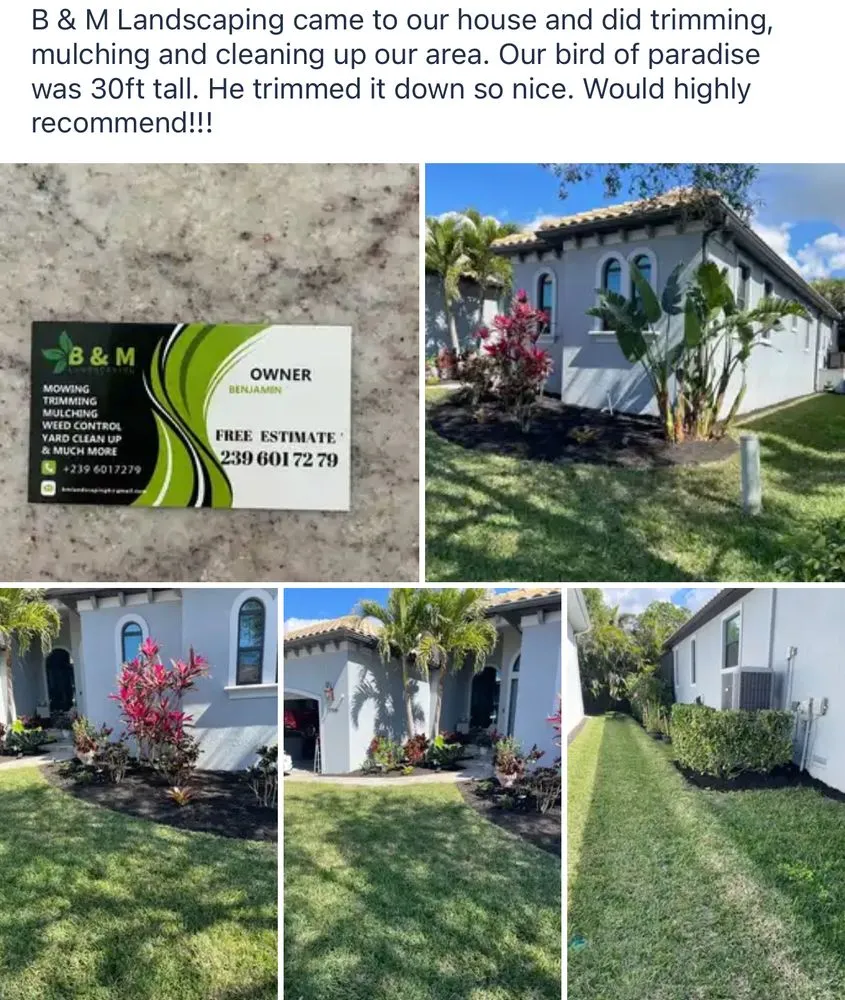 Reliable yard cleanup service in Bonita springs, FL by B&M Landscaping & Lawn Care