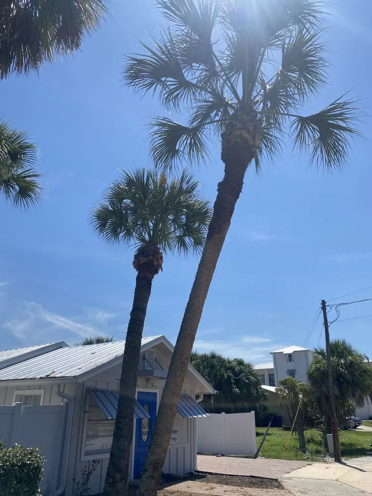 Trusted outdoor landscaping experts serving Bonita springs, FL - B&M Landscaping & Lawn Care