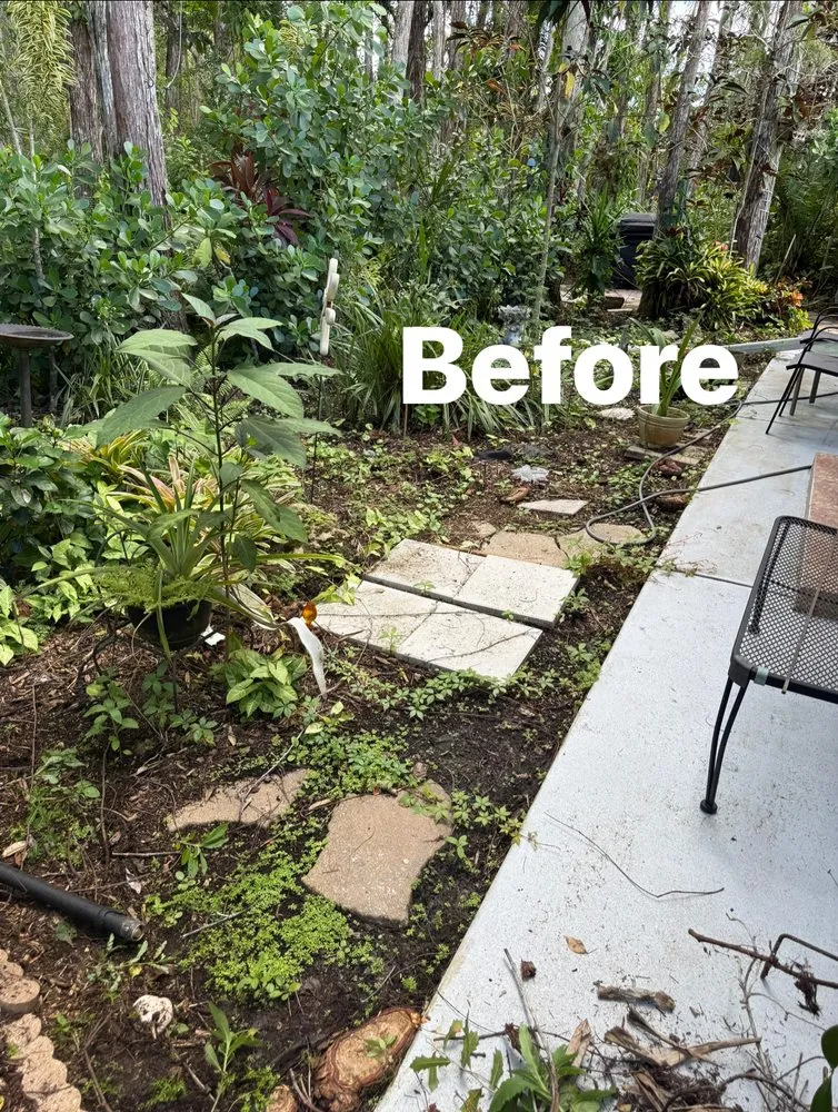 Local yard maintenance in Bonita springs, FL - B&M Landscaping & Lawn Care