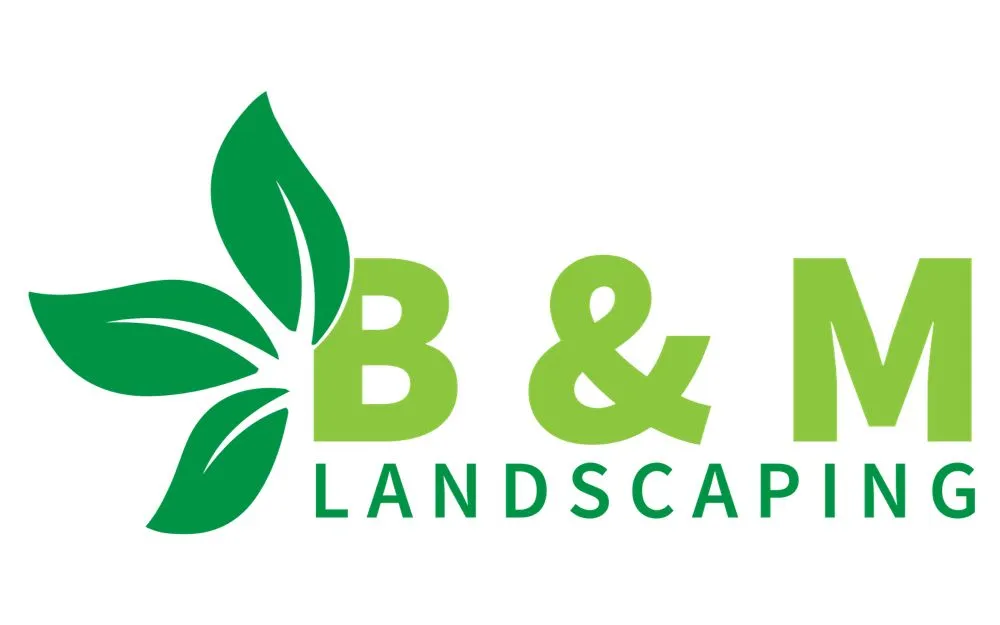 Top-rated lawn mowing service experts serving Bonita springs, FL - B&M Landscaping & Lawn Care
