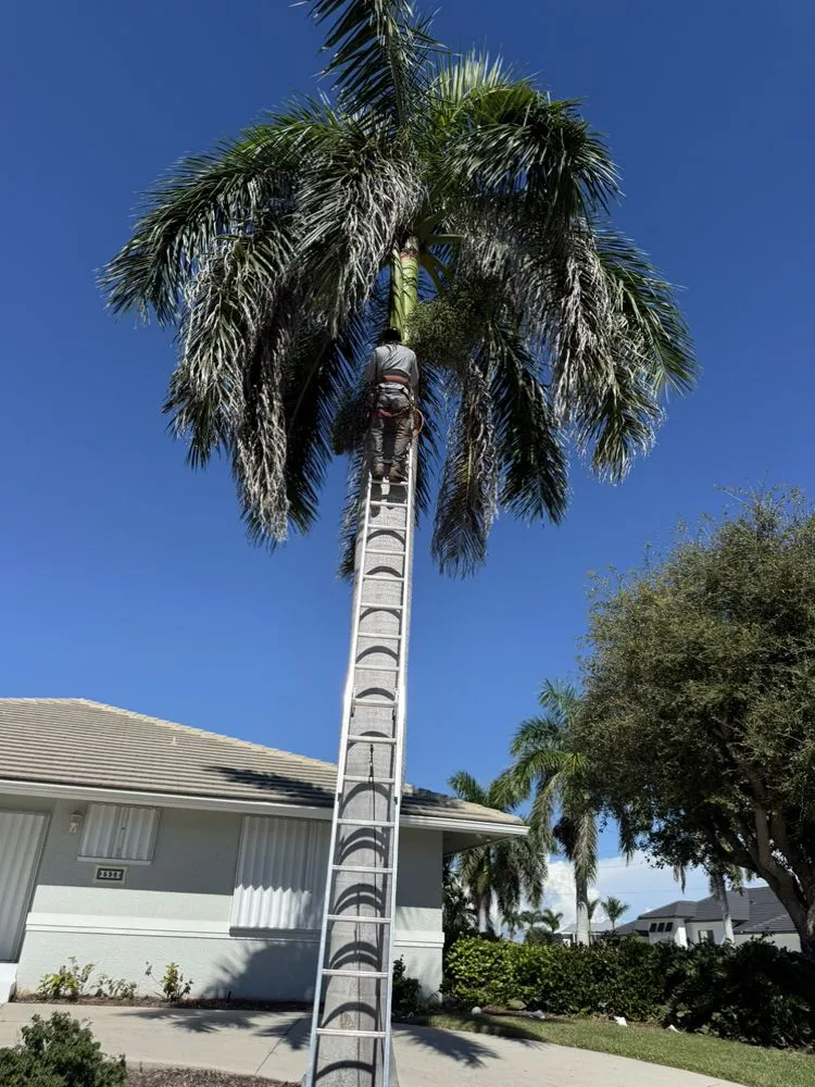 Local yard maintenance for beautiful yards in Bonita springs, FL by B&M Landscaping & Lawn Care