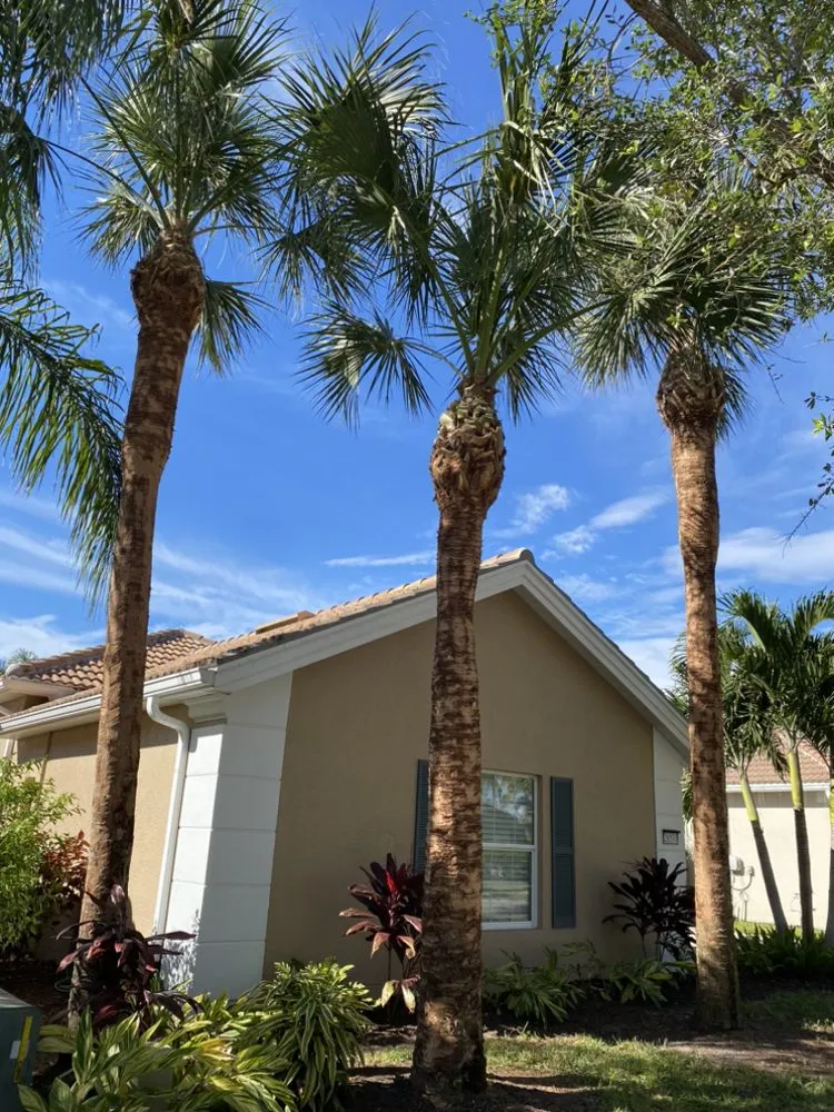 Trusted yard maintenance near you in Bonita springs, FL by B&M Landscaping & Lawn Care