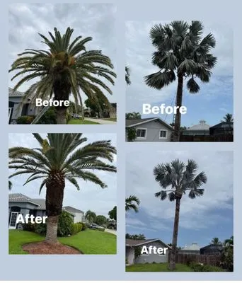 B&M Landscaping & Lawn Care Logo