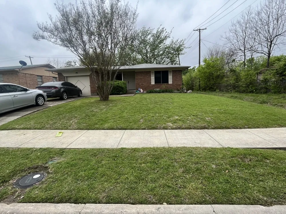 Trusted yard cleanup service for residential properties across Dallas, TX - B&M Landscaping