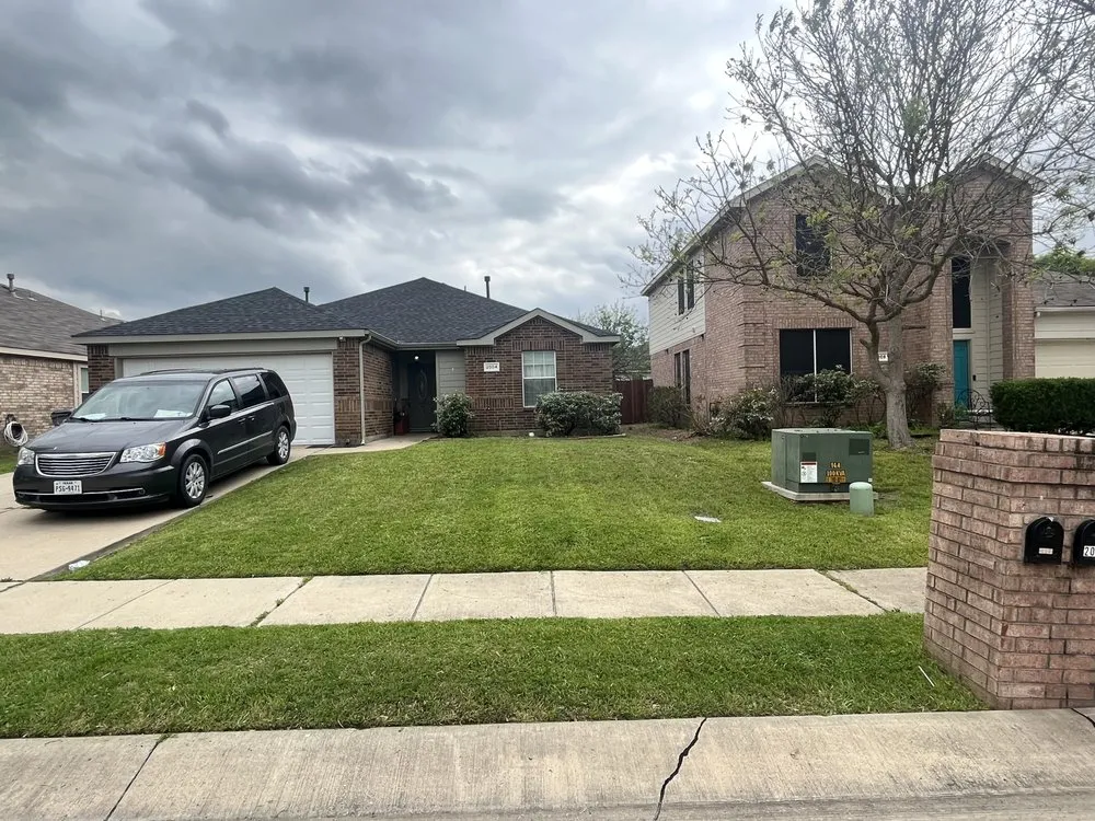 Professional yard cleanup service for year-round maintenance across Dallas, TX - B&M Landscaping