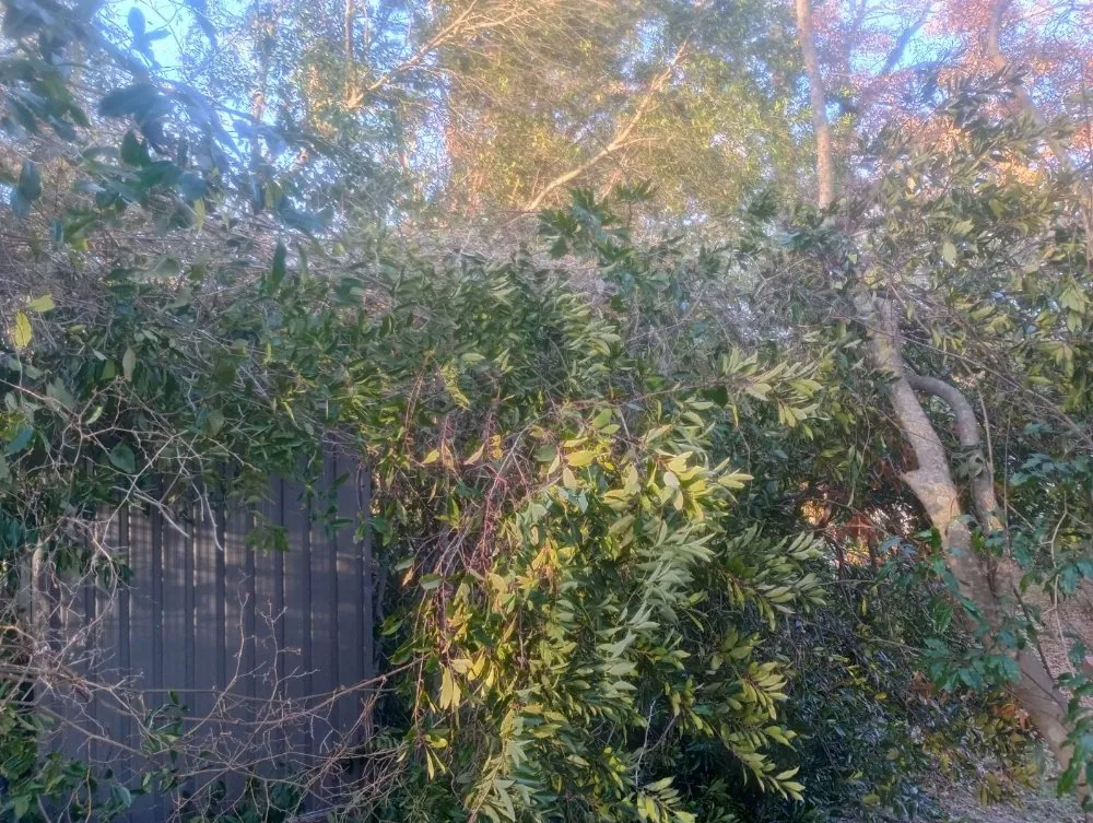 Trusted landscape design for residential properties in Grovetown, GA by B&M Landscaping