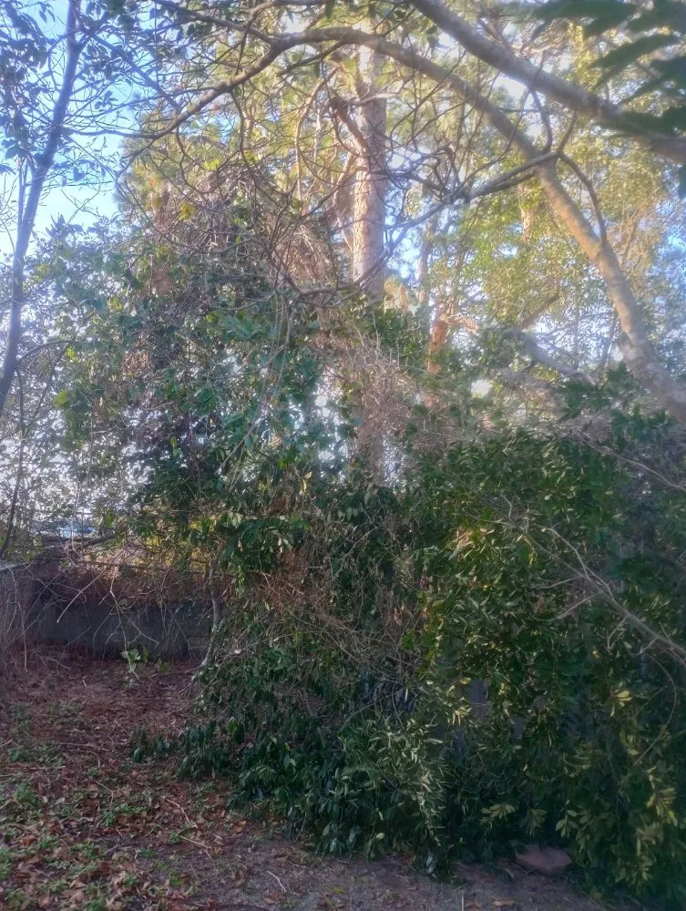 Custom landscape design in Grovetown, GA by B&M Landscaping